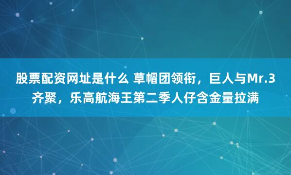 股票配资网址是什么 草帽团领衔，巨人与Mr.3齐聚，乐高航海王第二季人仔含金量拉满